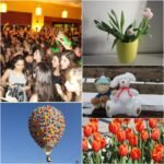 Used Digital Camera | Sony Cybershot W350 Digital Camera | Complete Set - Image 6